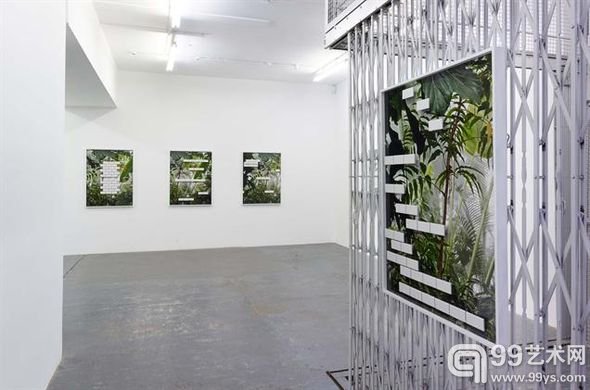 米歇尔·埃伯利斯(Michele Abeles）伦敦个展