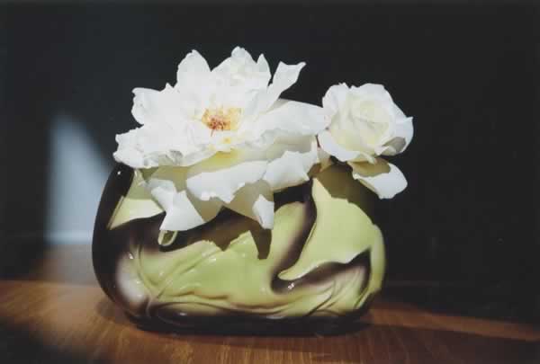 伊芙琳•兰黛摄影作品
