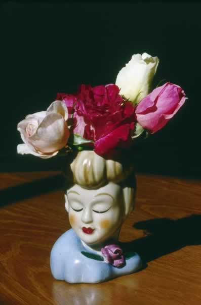 伊芙琳•兰黛摄影作品