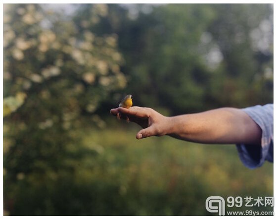 4.Barbara Bosworth，Common Yellowthroat，2003