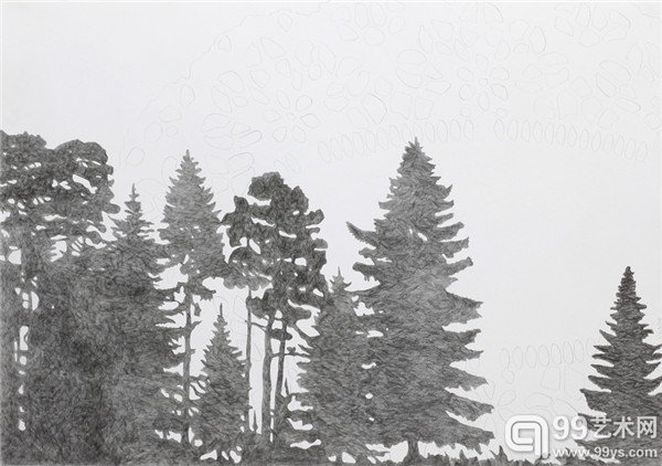 AlexandraKüertz 《黑森林》70×100cm 铅笔绘画 2009
