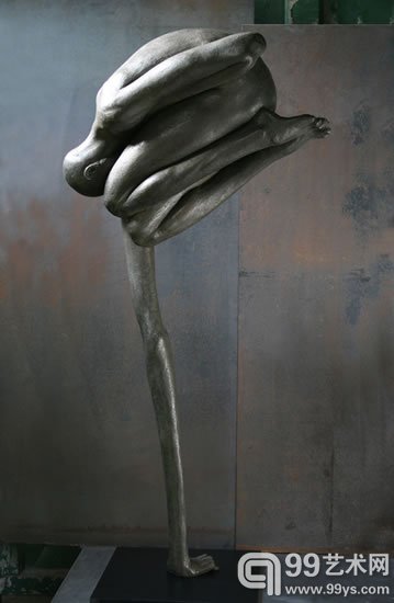 艺术家Emil Alzamora 作品