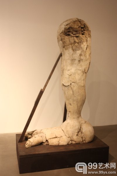 展览现场