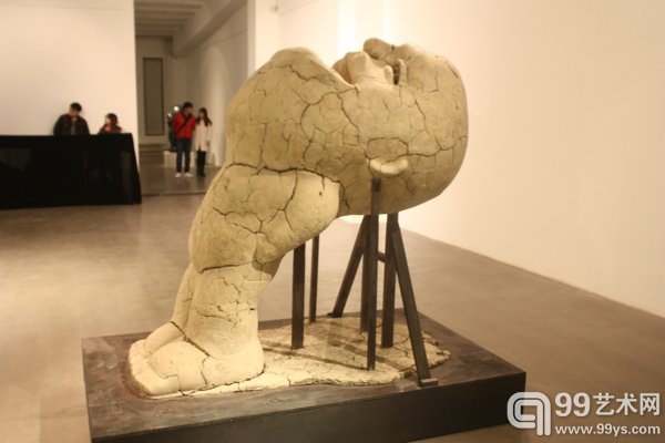 展览现场