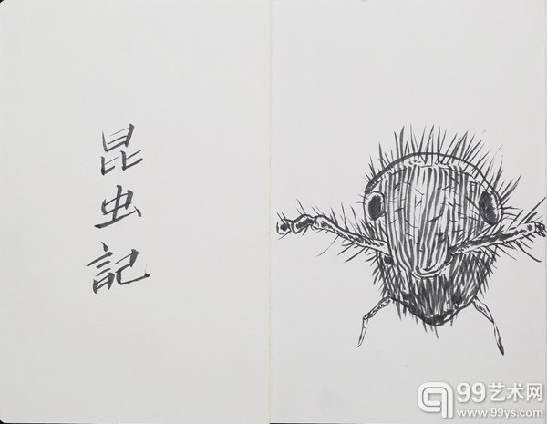 昆虫记，2014，宣纸册页