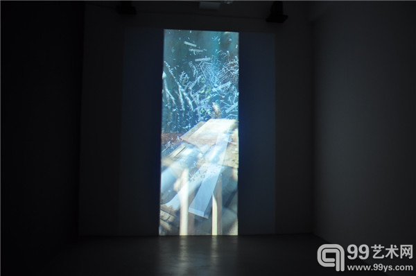 展出作品