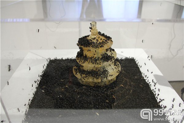 现场呈现作品