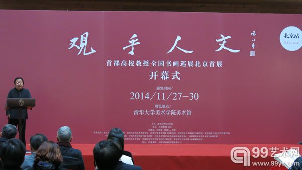 崔如琢发言