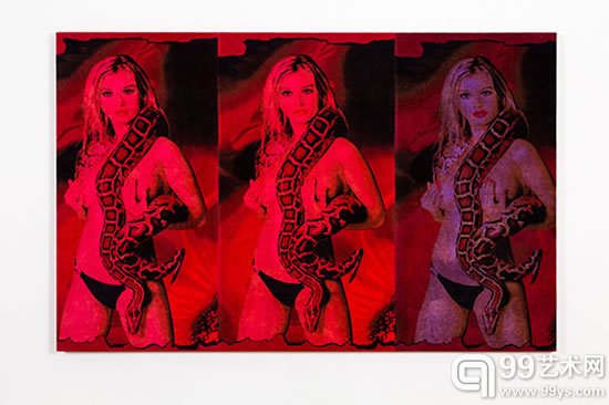 Alexandre da Cunha, 《Amazons (Painting IV)》 2014