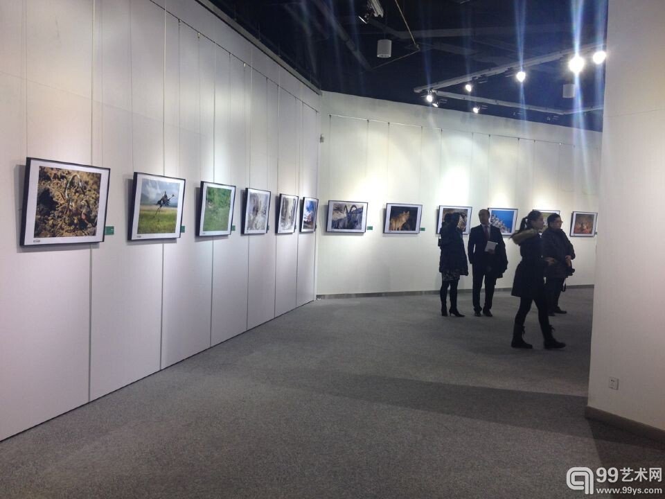 展览现场