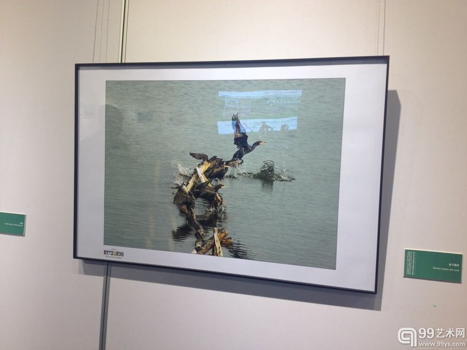 展览现场
