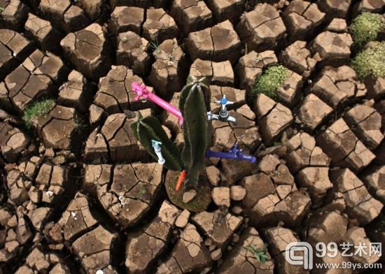 巴西艺术家替仙人掌接上水龙头