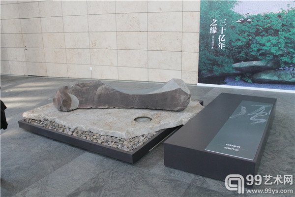 展览现场