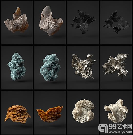 最环保的生物衣服