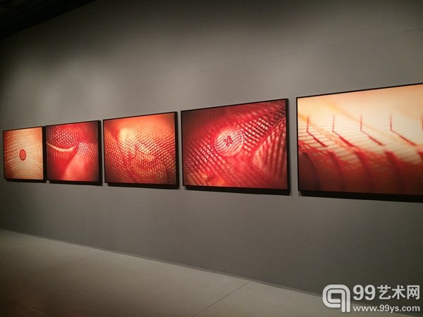 顾长卫艺术作品