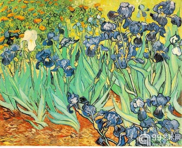 《鸢尾》1889年 5月 【创作地点】 圣雷米 精神病院Saint-Rémy 【类型】 画布油画 Oil on canvas 【尺寸】 71x93cm 【现存】 洛杉矶　Los Angeles,Getty Center 美国马利布•保罗—盖提博物馆。