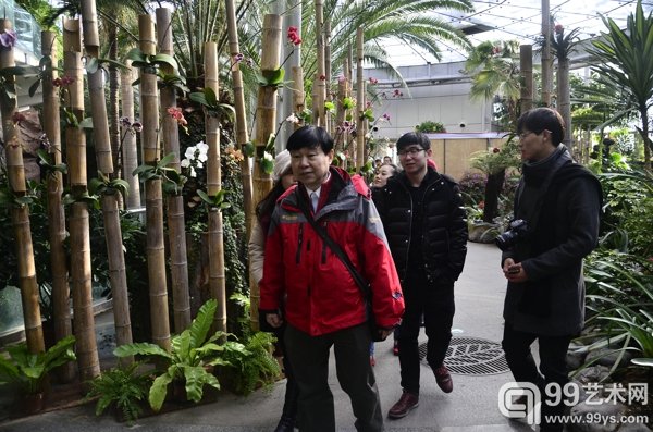 雾霾-怎办-霾葬参与人员行走植物园热带植物温室