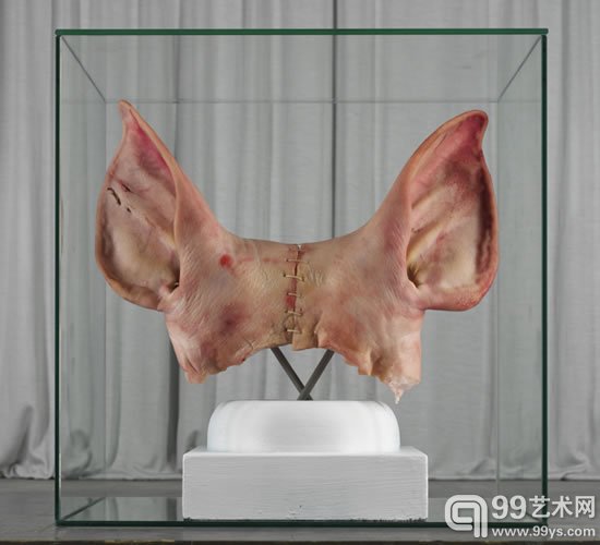跨界摄影师拉斐尔·德·维托作品