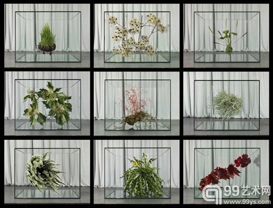 跨界摄影师拉斐尔·德·维托作品