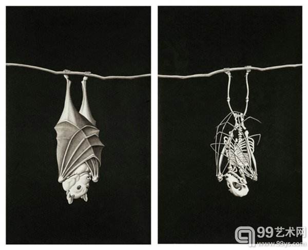 宋陵 《夜行者-飞猢狸1、2》2014 纸本水墨 91×55 cm×2