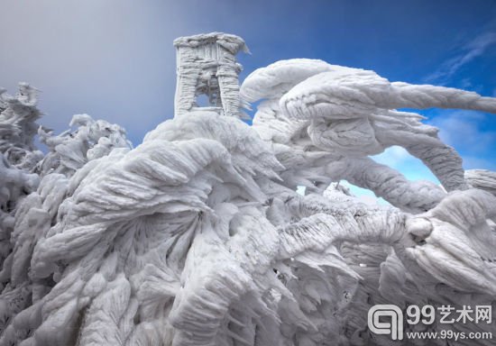 摄影师拍暴风雪后树木结冰景象