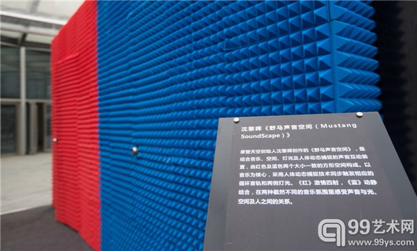 沈黎晖作品 《野马声音空间（Mustang SoundScape）》