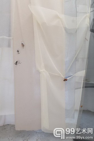 Detail of Crab Bekleidung, 2014