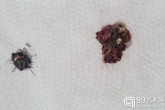 Detail of Crab Bekleidung, 2014