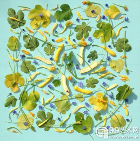 英国艺术家用蔬果作画 极致美感让人无法下口