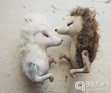 动物王国