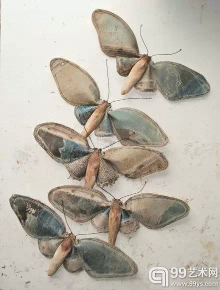 昆虫家族