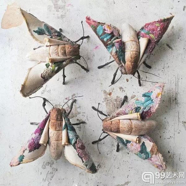 昆虫家族