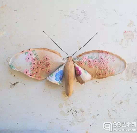 昆虫家族