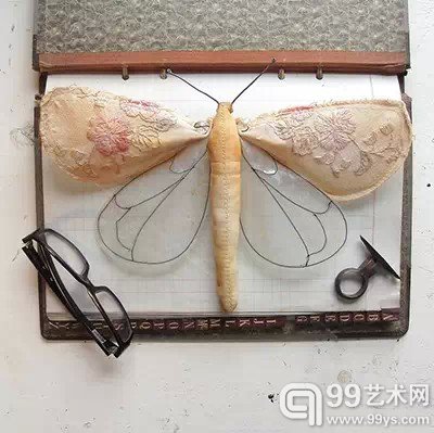 昆虫家族
