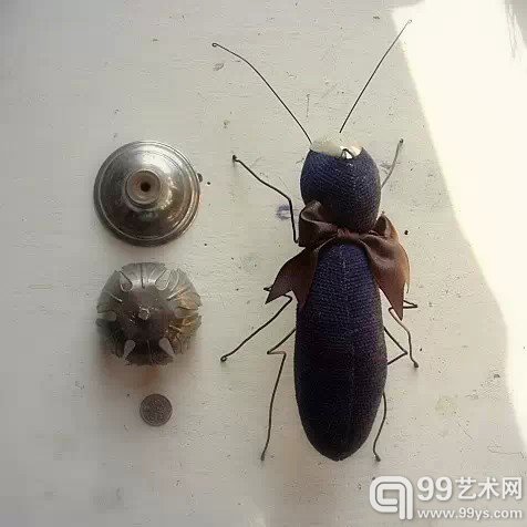 昆虫家族