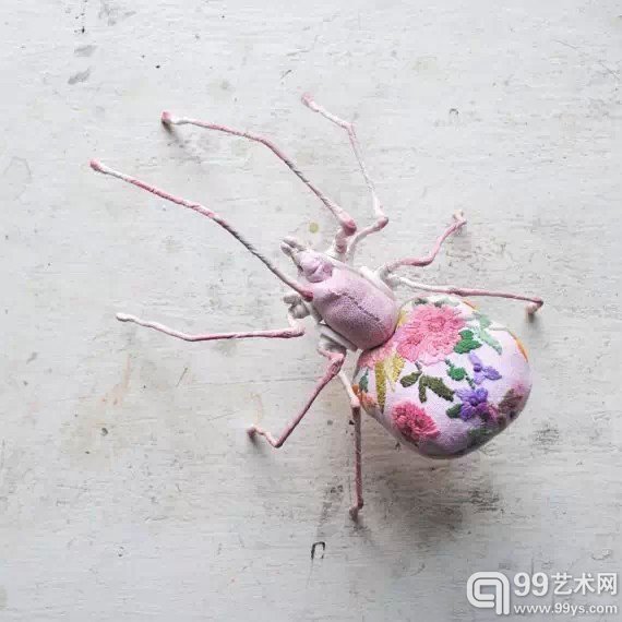 昆虫家族