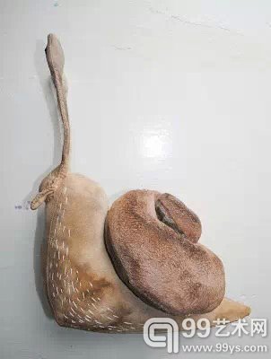 昆虫家族