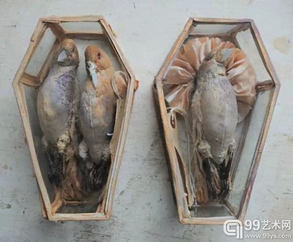 鸟与鱼