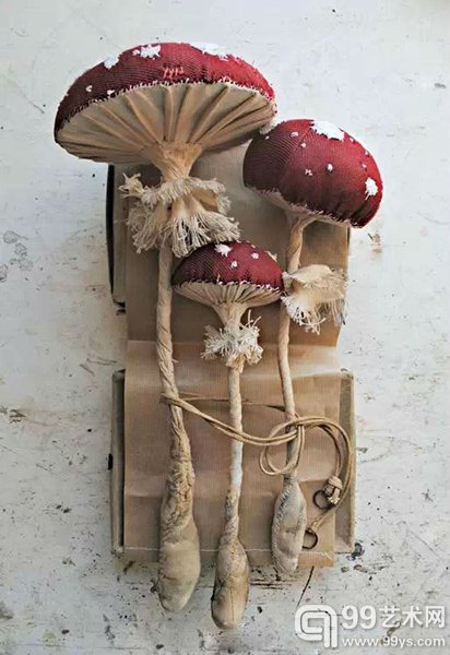 植物王国