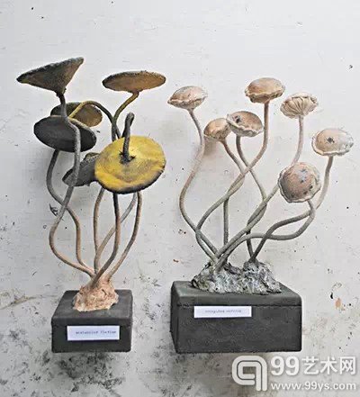 植物王国