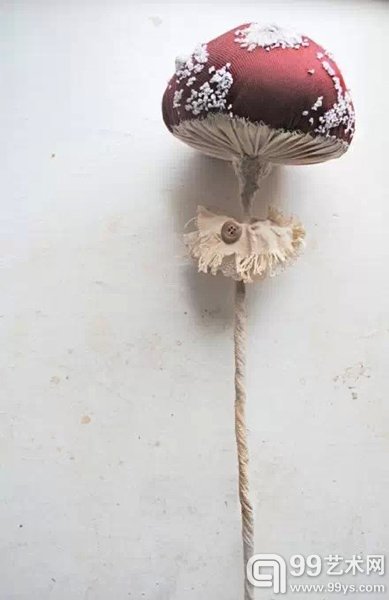 植物王国
