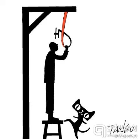 再加只猫