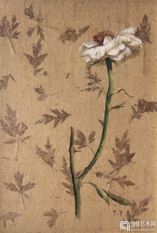 杨媛媛-标本和花-综合材料-33.5 ×24.5cm-2012