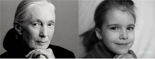 Jane Goodall，被认为是世界上最重要的黑猩猩专家。