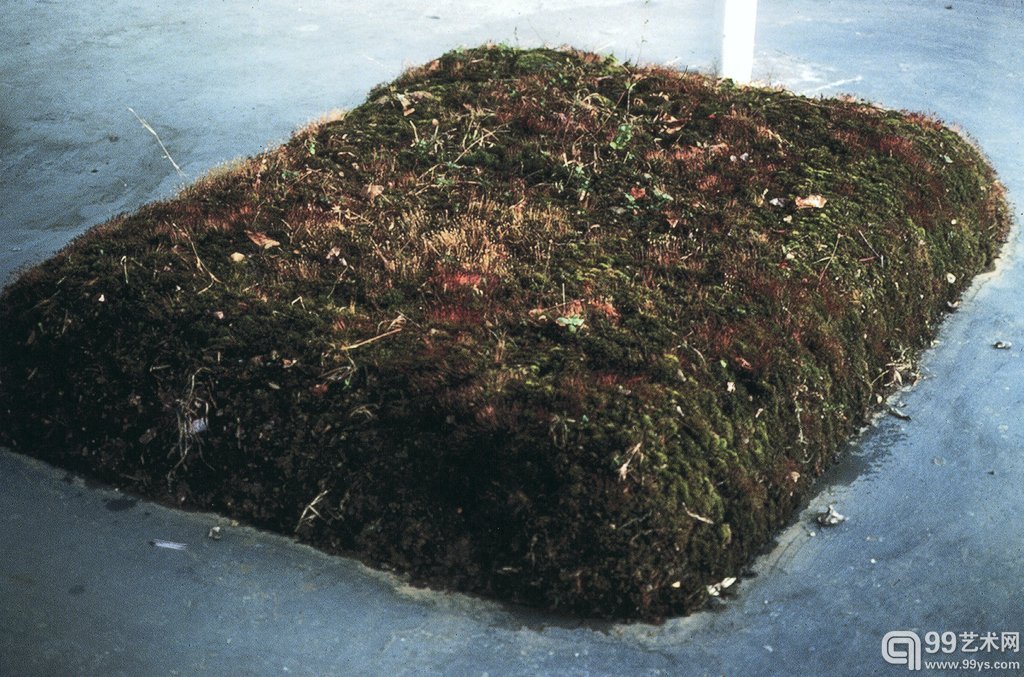 Meg Webster梅格·韦伯斯特,美国,1944