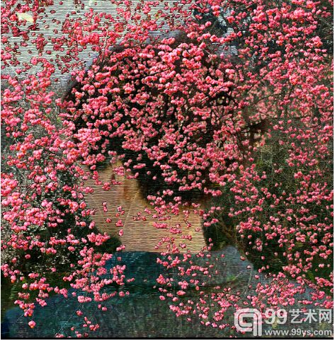 海伦•西尔
