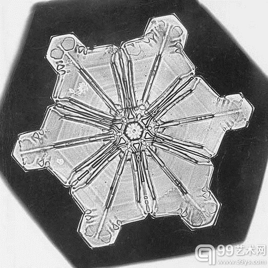 Wilson Bentley,一名1865年出生在美国佛蒙特州农场的普通人,因为他自孩提时代便已经对观察自然界充满兴趣,所以在他15岁时,从家人那里得到了人生的第一台显微镜,开始记录深爱的雪花,并成为历史上第一名给雪花照相的人。