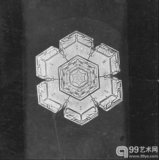 Wilson Bentley,一名1865年出生在美国佛蒙特州农场的普通人,因为他自孩提时代便已经对观察自然界充满兴趣,所以在他15岁时,从家人那里得到了人生的第一台显微镜,开始记录深爱的雪花,并成为历史上第一名给雪花照相的人。