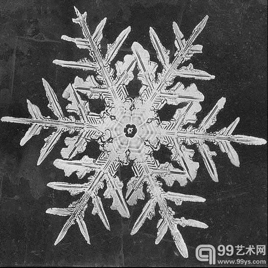 Wilson Bentley,一名1865年出生在美国佛蒙特州农场的普通人,因为他自孩提时代便已经对观察自然界充满兴趣,所以在他15岁时,从家人那里得到了人生的第一台显微镜,开始记录深爱的雪花,并成为历史上第一名给雪花照相的人。