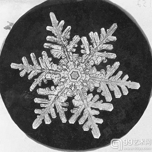 Wilson Bentley,一名1865年出生在美国佛蒙特州农场的普通人,因为他自孩提时代便已经对观察自然界充满兴趣,所以在他15岁时,从家人那里得到了人生的第一台显微镜,开始记录深爱的雪花,并成为历史上第一名给雪花照相的人。